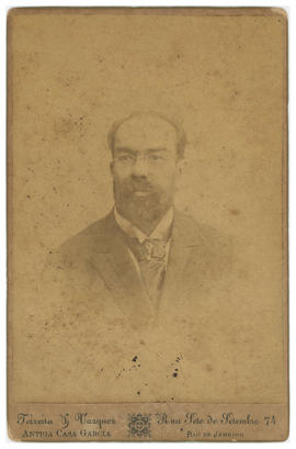 Luiz Delfino (1834-1910)