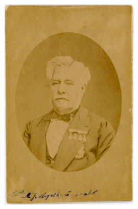 Antonio Joaquim de Magalhães Castro (1809-1894)