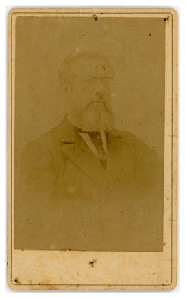 José Brazilício de Souza (1854-1910)