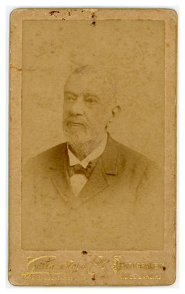 Manoel da Silva Mafra (1831-1907)
