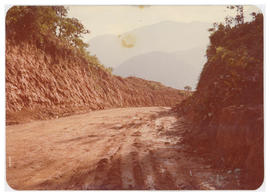 Estrada Rio do Julio 
