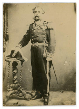 Francisco Cordeiro Torres Alvim (1822-1883)