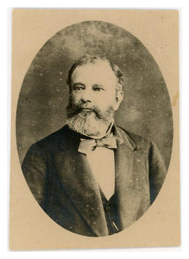 Manoel da Silva Mafra (1831-1907)
