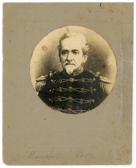 Francisco Carlos da Luz (1839-1906)
